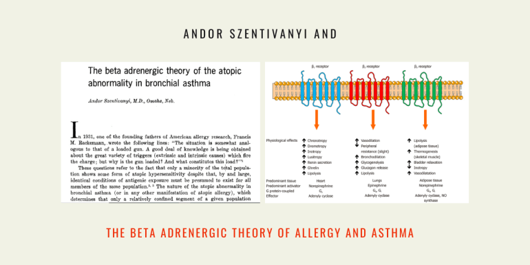 Beta Adrenergic Theory Allergy Asthma