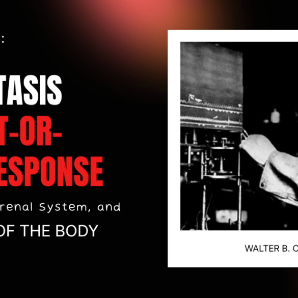 Walter Cannon Homeostasis Fight-or-Flight Response Sympathoadrenal System
