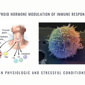 Thyroid Hormone Modulation of Immune Responses