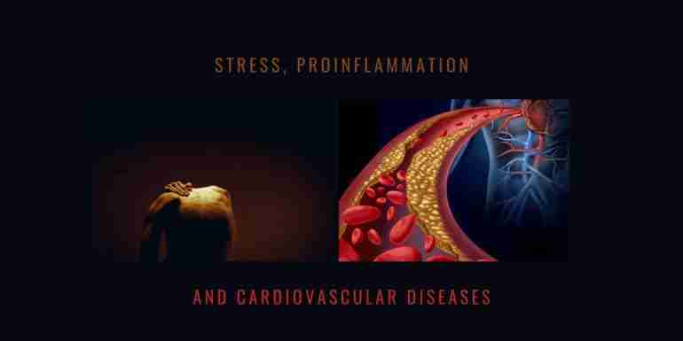 stress proinflammation cardiovascular new