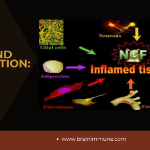 nerve growth factor and inflammation new