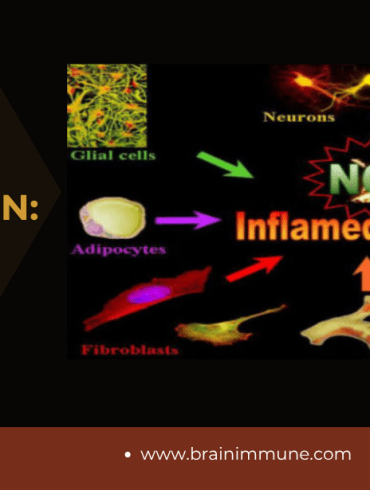 nerve growth factor and inflammation new