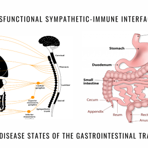 dysfunctional sympathetic immune interface gastrointestinal tract