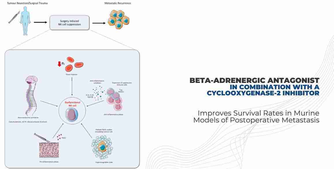 beta-adrenergic antagonist cyclooxygenase-2