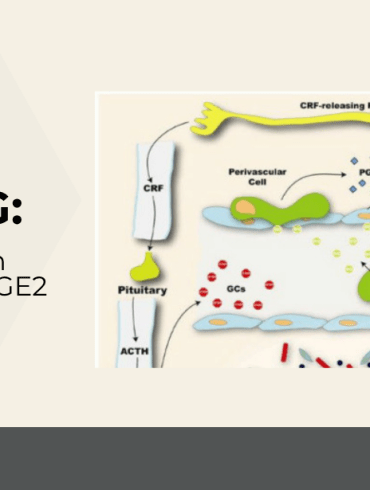 Brain-Immune Signaling Pathogen Recognition