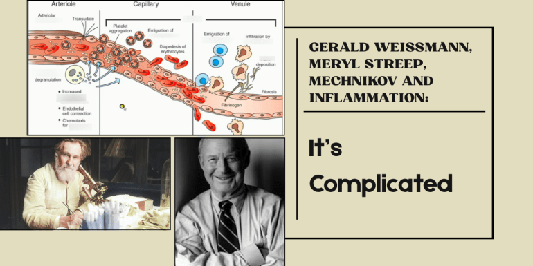 Gerald Weissmann, Meryl Streep, Mechnikov Inflammation It’s Complicated