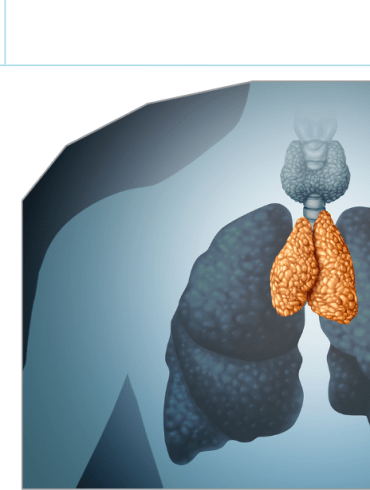 hymus Emergence & Evolution of Immune and Neuroendocrine