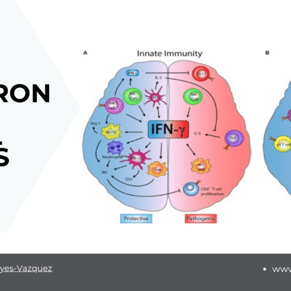 Interferon and the Central Nervous System