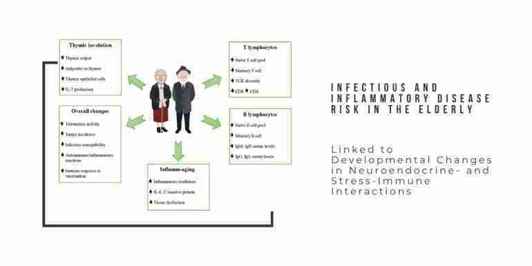 Infectious Inflammatory Disease Risk Elderly