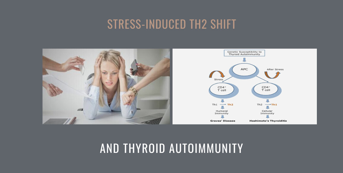 Stress-Induced Th2 Shift Thyroid Autoimmunity