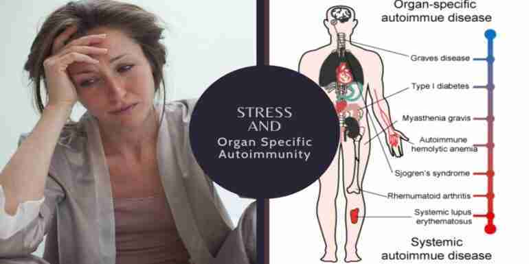 Stress Organ Specific Autoimmunity
