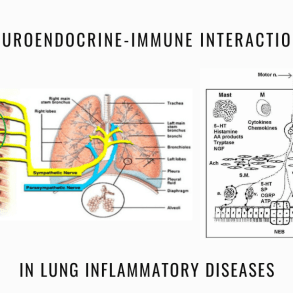 Neuroendocrine-immune interactions lung