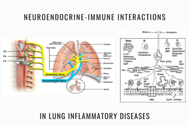Neuroendocrine-immune interactions lung