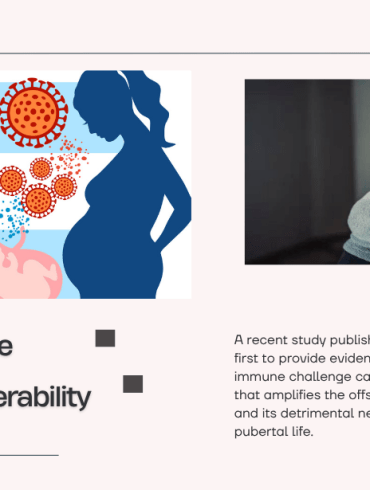prenatal immune challenge disease primer stress