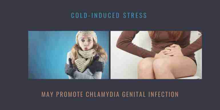 Cold-Induced Stress Chlamydia Genital Infection