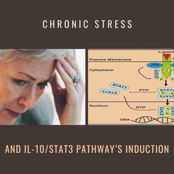 Chronic Stress and IL-10 stat3 Pathways Induction