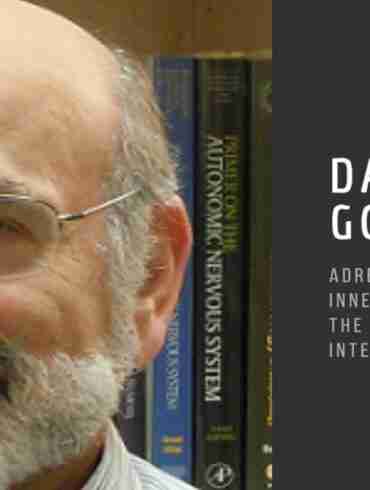 David Goldstein adrenaline inner world