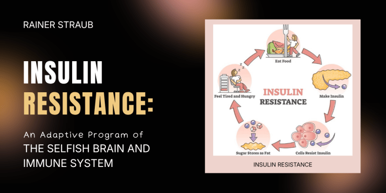 insulin resistance