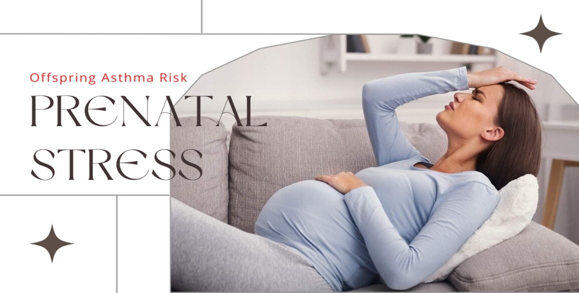 Prenatal Stress Risk Asthma