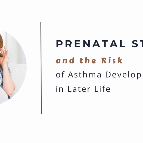Prenatal Stress Risk Asthma