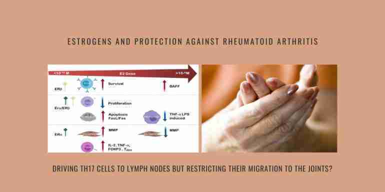 Estrogens Protection Rheumatoid Arthritis