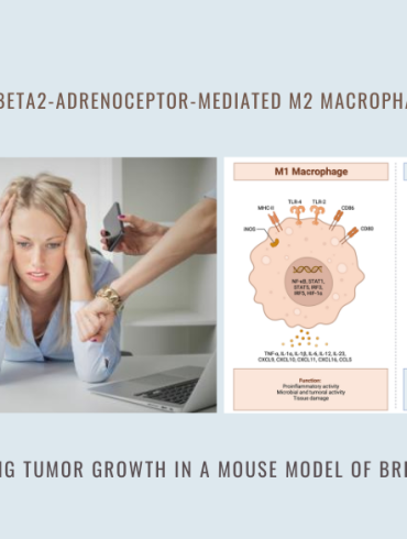 m2 macrophage polarization tumor growth