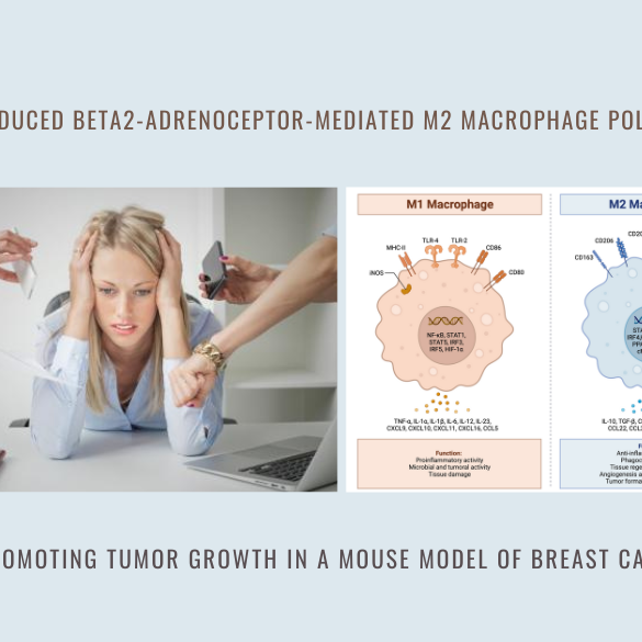 m2 macrophage polarization tumor growth
