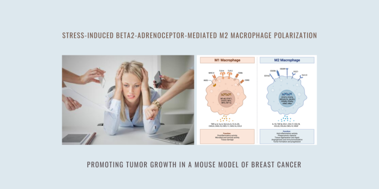 m2 macrophage polarization tumor growth