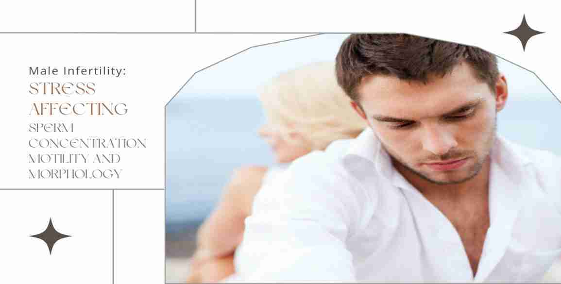 Male Infertility Stress Sperm