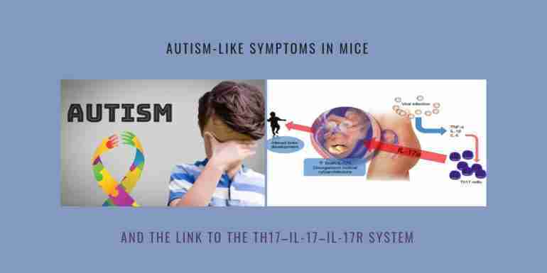 Autism-Like Symptoms Mice link Th17 IL-17