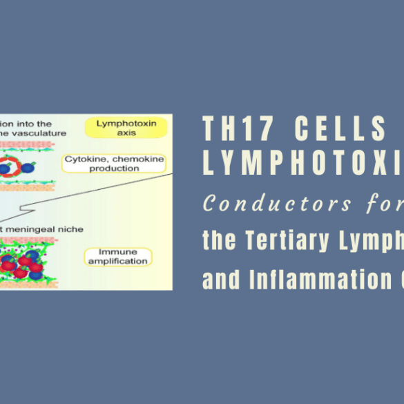Th17 Cells and Lymphotoxin Tertiary Lymphoid Tissues