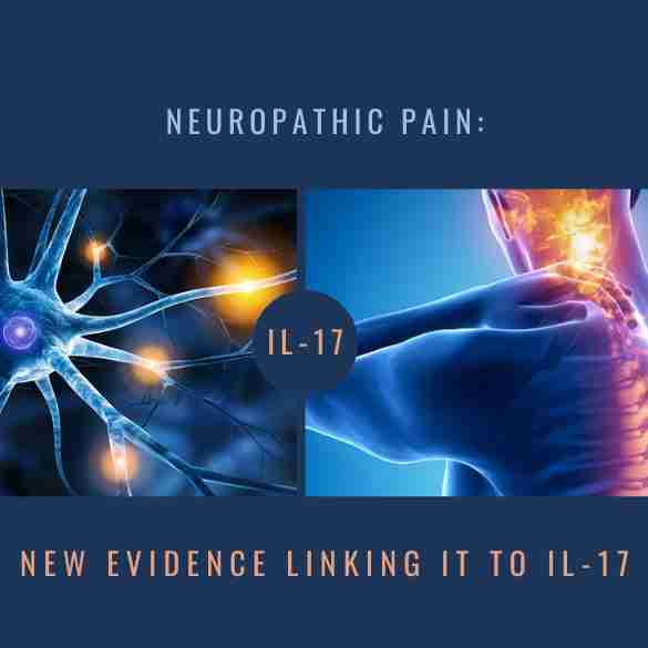 neuropathic pain Il-17 revised