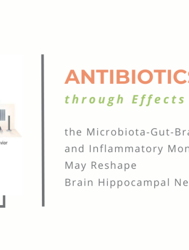 antibiotics microbiota gut brain axis