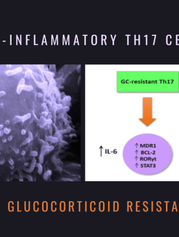Pro-Inflammatory Th17 Cells Glucocorticoid Resistance