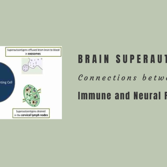 Brain Superautoantigens