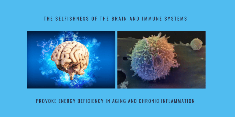selfishness brain immune energy deficiency