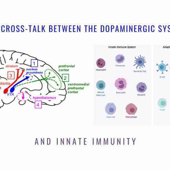 Cross-talk Dopaminergic System Innate Immunity
