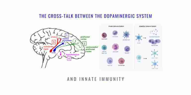 Cross-talk Dopaminergic System Innate Immunity