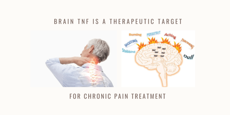 brainTNF therapeutic target chronic pain