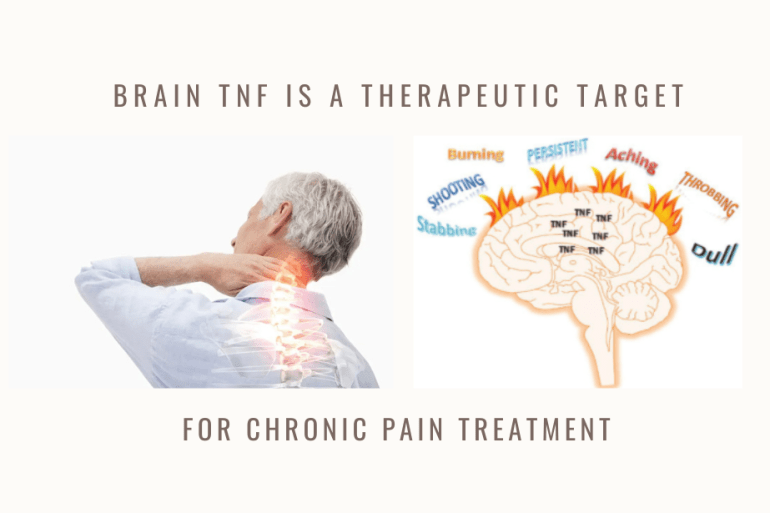 brainTNF therapeutic target chronic pain