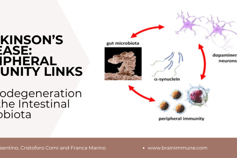 Parkinson’s Disease Peripheral Immunity new
