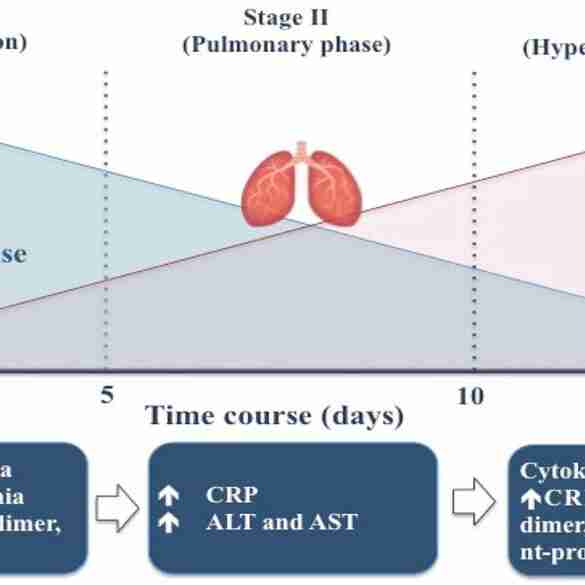 key factors COVID-19 Severity