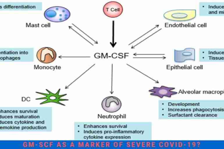 GM-CSF blood marker severe COVID-19
