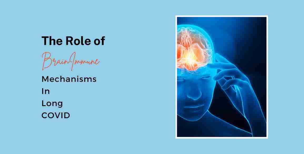 Brain Immune Mechanisms Long Covid