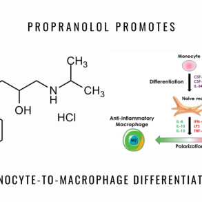propranolol monocyte macrophage