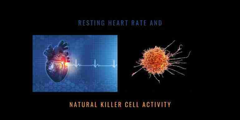 Resting Heart Rate Natural Killer Cell Activity