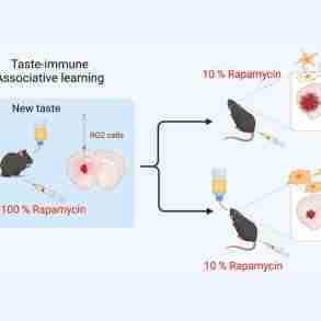 Taste-Immune Associative Learning