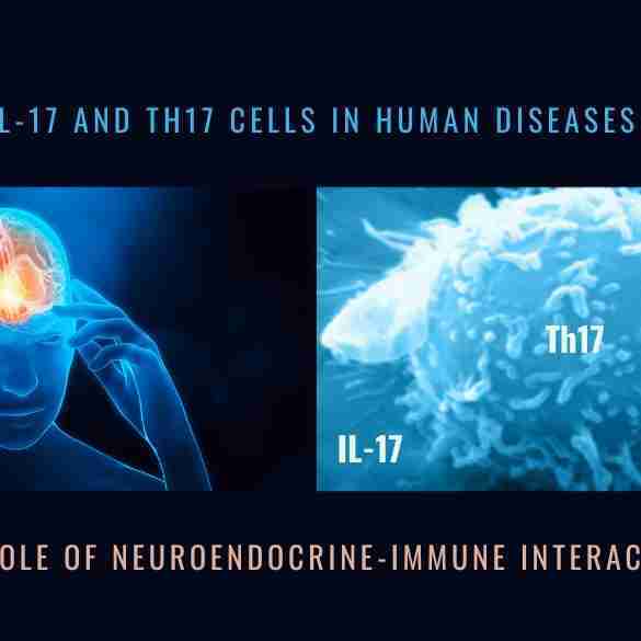 IL-17 and Th17 Cells Human Diseases
