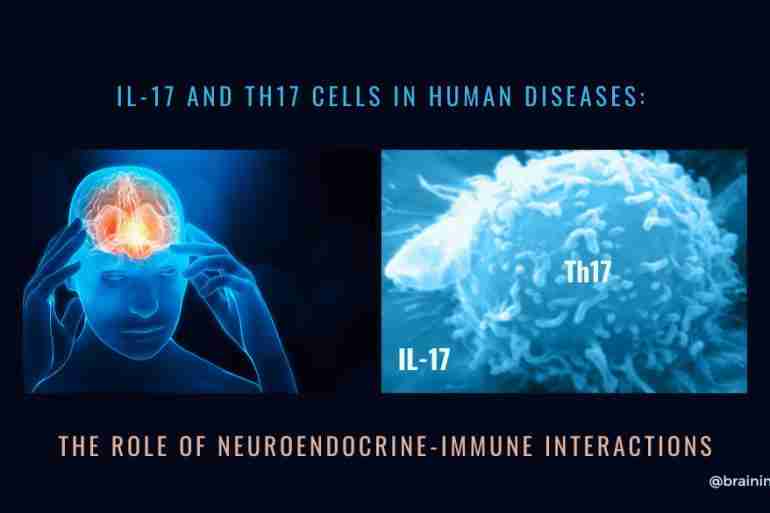 IL-17 and Th17 Cells Human Diseases
