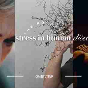 pervasive influence of stress